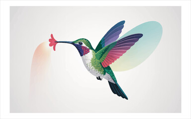 Obraz premium Hummingbird with flower flying