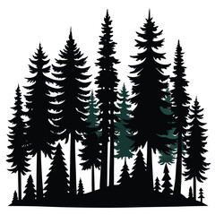 Obraz premium Silhouette of a dense forest of tall coniferous trees