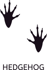 Black and white vector illustration showcasing European hedgehog footprints with visible claws and paw pads, isolated on a white background for wildlife education © WinWin