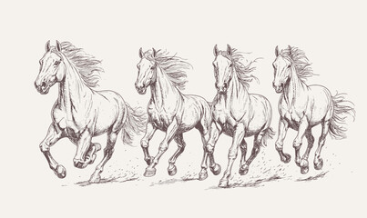 Detailed hand drawn sketch of four running horses galloping together with flowing manes in vintage engraving style vector illustration artwork