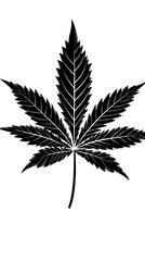 Black and white minimalist vector illustration of a single detailed cannabis marijuana leaf with serrated edges and visible vein structure on white background