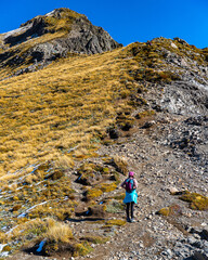 Brave hiker girl climbs steep rocky vertical wall on way to Avalanche Peak summit, Arthur's Pass National Park, Canterbury, South Island, New Zealand