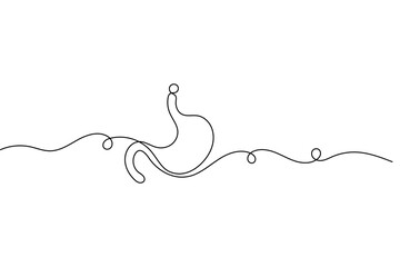 Human stomach organ one line drawing in minimalist medical outline vector illustration style
