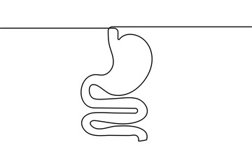 Human stomach organ one line drawing in minimalist medical outline vector illustration style

