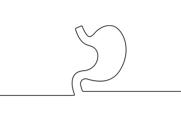 Human stomach organ one line drawing in minimalist medical outline vector illustration style
