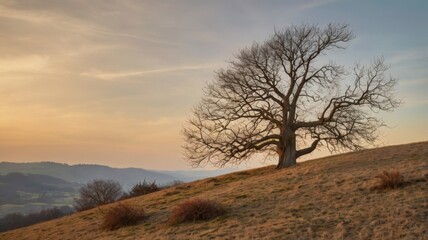 A bare tree stands on a grassy hill against a backdrop of distant hills and a soft colored sky