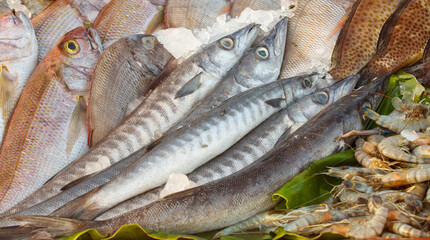 A variety of fish and shrimp are displayed on a table