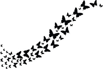 Flying butterfly silhouette vector, black butterfly swarm clipart, insect trail graphic, nature tattoo element, fluttering butterflies design, abstract insect pattern art © Riyaj Vector Valley