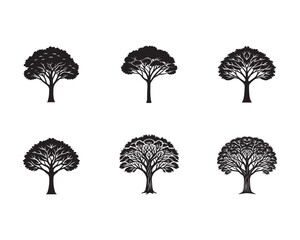 Set of Six Unique Tree Silhouettes Black and White Botanical Illustrations for Design Elements
