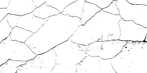  black and white  cracked surface with intricate patterns and textures creating an abstract and grunge white backgrounds.