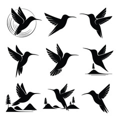 Fototapeta premium Black and white hummingbird silhouettes in various poses and settings