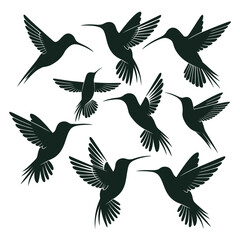 A collection of dark green hummingbird silhouettes in flight