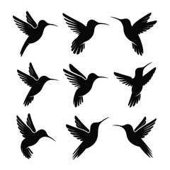 Obraz premium Black Hummingbird Silhouettes in Flight flying wings