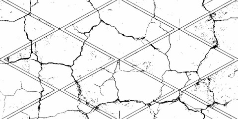  black and white  cracked surface with intricate patterns and textures creating an abstract and grunge white backgrounds.