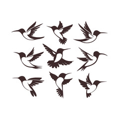 Collection of stylized dark brown hummingbirds in flight