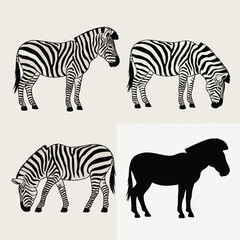 Four zebra illustrations in different poses and styles