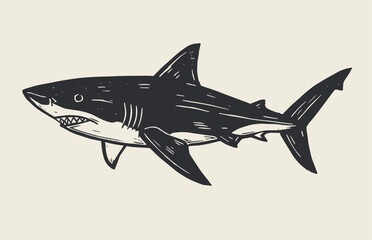 Shark Black and White Vector Illustration, Sketch Drawing Linear Line Art Engraving, Isolated