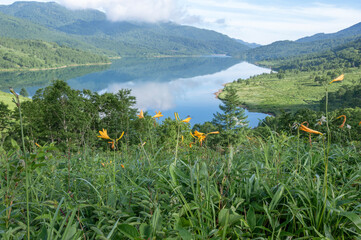 群馬県野反湖の夏景色 - 豊かな緑と湖面が織りなす絶景