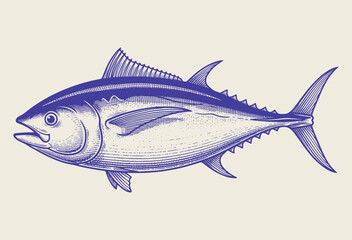 Tuna fish side view. Vintage woodcut engraving style vector illustration.