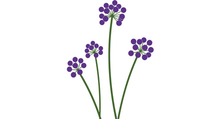 Obraz premium Minimalist Vector Illustration of Purple Spherical Flowers on Green Stems, Isolated on White
