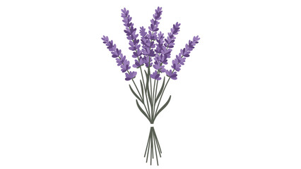Naklejka premium Purple Lavender Flower Bouquet Vector Illustration