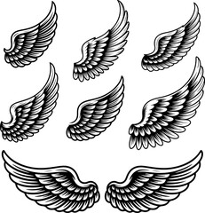 Obraz premium Set of bird wings isolated on white background. Design elements for logo, label, emblem, sign. Vector illustration