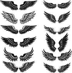 Set of bird wings isolated on white background. Design elements for logo, label, emblem, sign. Vector illustration