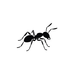 Black silhouette of an ant on a white background