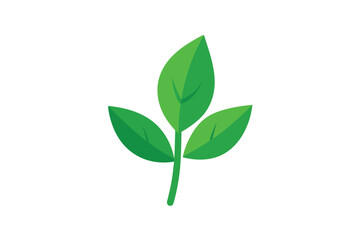 Leaf With Stem In Flat Vector Style On White Background