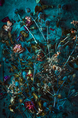 Composition of plants, on black background, still life