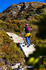 Hiker girl climbs snow-covered stairs on Sealy Tarns Track, admiring alpine views of Aoraki Mount Cook and surrounding glacial lakes, South Island, New Zealand