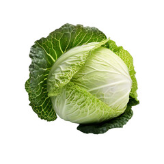 Fototapeta premium Fresh savoy cabbage, showcasing its vibrant green leaves and textured surface, isolated on transparent background.