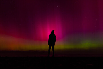 Silhouette of girl gazing at sky lit up by vibrant pink and green southern lights, Aurora australis, on beach near Christchurch, Canterbury, South Island, New Zealand.