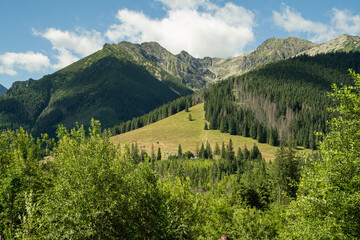 skaliste szczyty górskie Tatr, pokryte lasami oraz polanami w dolnych partiach w słoneczny letni dzień © siwyk