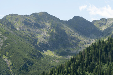 skaliste szczyty górskie Tatr, pokryte lasami oraz polanami w dolnych partiach w słoneczny letni dzień © siwyk