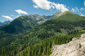 skaliste szczyty górskie Tatr, pokryte lasami oraz polanami w dolnych partiach w słoneczny letni dzień © siwyk