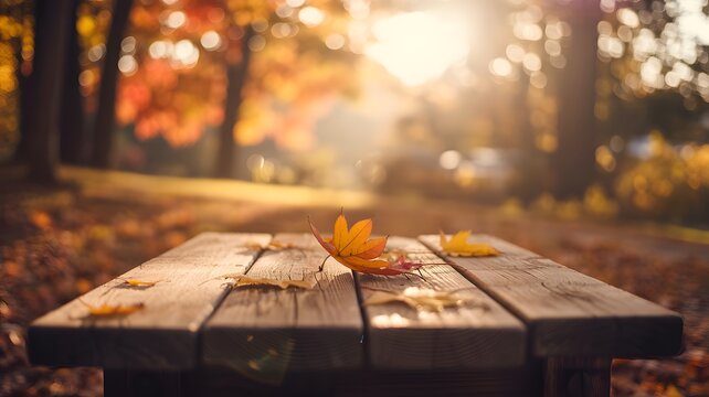 Autumn picnic table in a park with colorful leaves