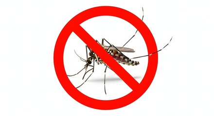 Mosquito with a red prohibition sign over it, symbolizing mosquito control and prevention.