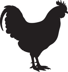 Leghorn in silhouette white background.