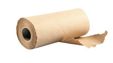 Title: Minimal Empty Toilet Paper Roll Isolated on Clean White Background for Hygiene and Recycling Concepts