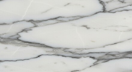 Elegant Marble Texture with White and Gray Veins