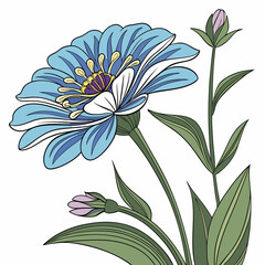 vector illustration of zinnia blue flower