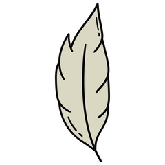 Hand-drawn cartoon bird feather on a white background.