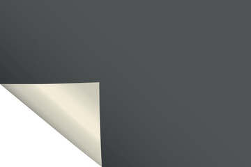 Page curl. Curled color paper. Blank sheet of ripped aged paper bright color corner. Copy space design for text, advertising, poster, wallpaper, backdrop. Printable lined and squared grid paper.