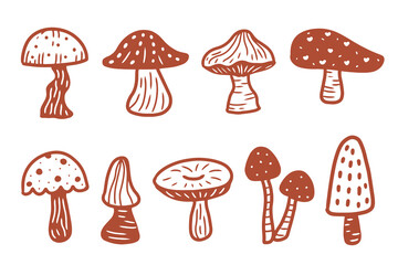 Cute Doodle of Autumn Forest Mushroom Collection