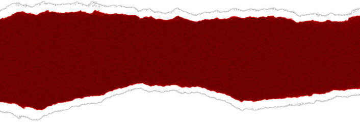 Realistic torn paper edge. Ripped Dark Maroon paper mockup isolated on transparent background. Piece of rip paper PNG. mockup template
