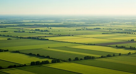An expansive aerial view of a vast patchwork of green agricultural fields at sunrise