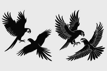 Parrots flapping wings aggressively at each other image silhouette design vector art and illustration