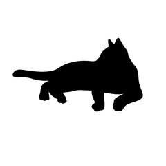 cat silhouette