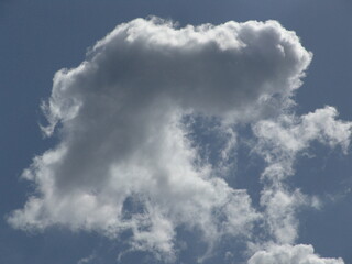 Fluffy white cloud in a clear blue sky, shaped like an animal. A whimsical and serene nature scene perfect for weather or imagination-themed visuals.